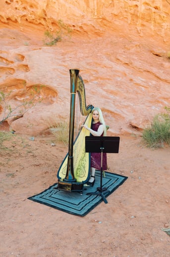 Gallery photo 4 of Melody in Flight, Harpist