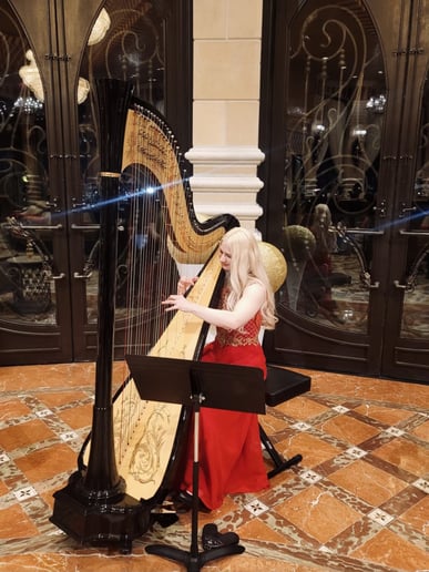 Gallery photo 1 of Melody in Flight, Harpist
