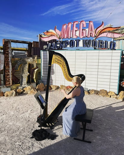 Gallery photo 2 of Melody in Flight, Harpist