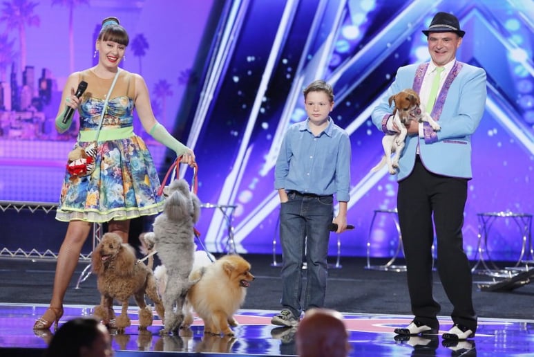Gallery photo 5 of Circus Dog Show by Menestrelli Entertainment, LLC
