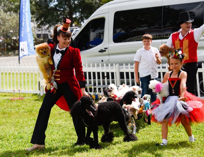 Gallery photo 1 of Circus Dog Show by Menestrelli Entertainment, LLC
