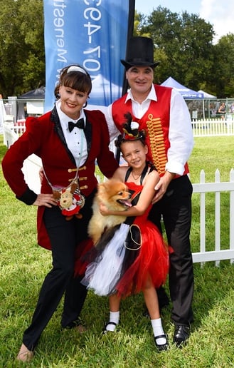 Gallery photo 2 of Circus Dog Show by Menestrelli Entertainment, LLC