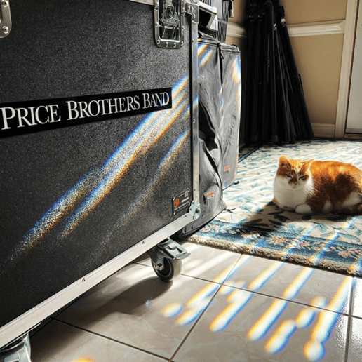 Gallery photo 9 of PRICE: The Price Brothers