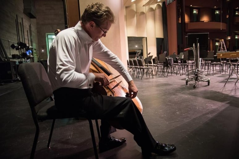 Gallery photo 10 of Meridian String Quartet