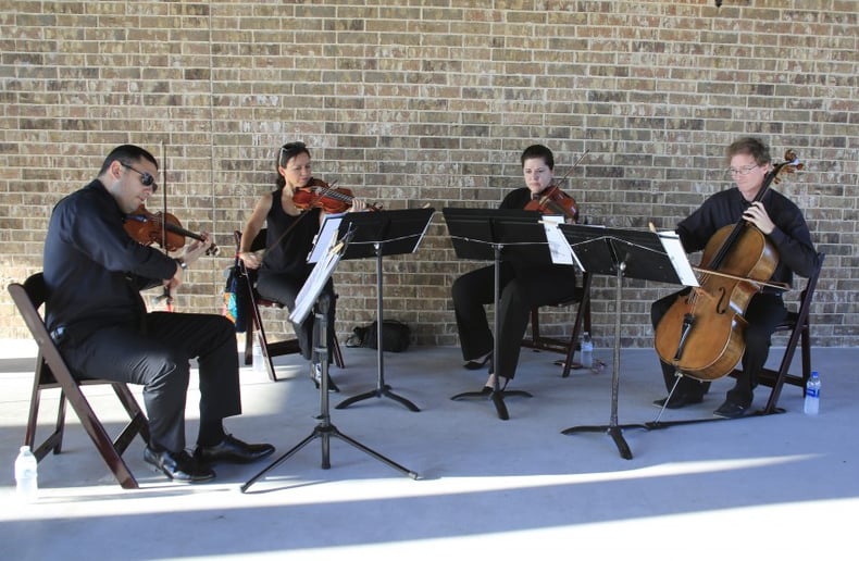 Gallery photo 2 of Meridian String Quartet