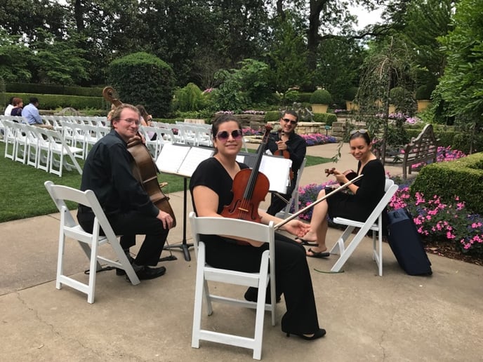 Gallery photo 3 of Meridian String Quartet