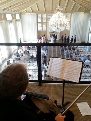 Gallery photo 4 of Meridian String Quartet