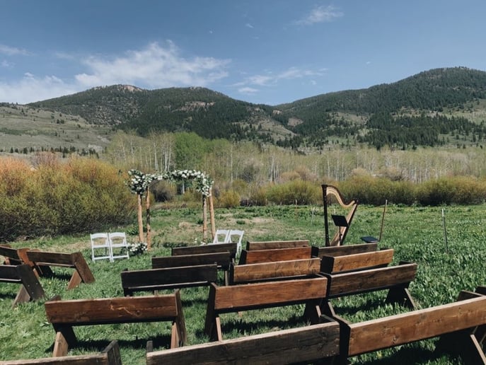 Gallery photo 3 of Merinda Starnes, Utah Harpist for Weddings & Events