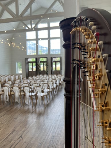Gallery photo 7 of Merinda Starnes, Utah Harpist for Weddings & Events