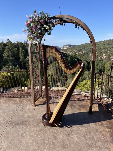 Gallery photo 8 of Merinda Starnes, Utah Harpist for Weddings & Events