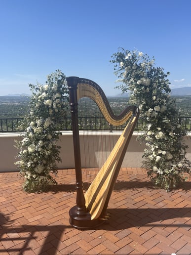 Gallery photo 10 of Merinda Starnes, Utah Harpist for Weddings & Events
