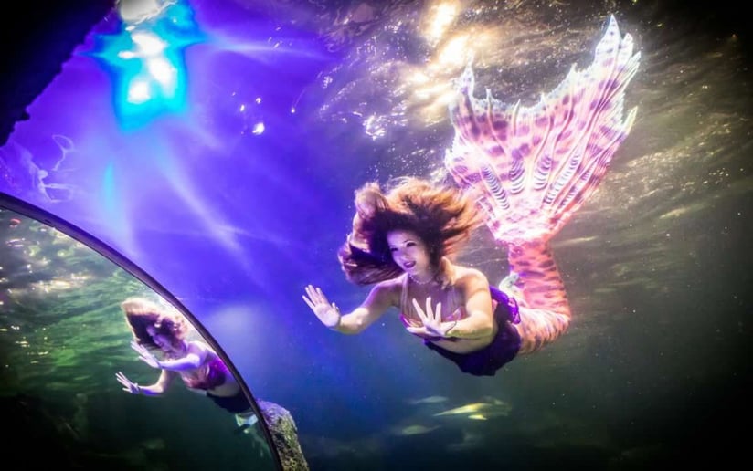 Gallery photo 7 of Mermaid Alexis
