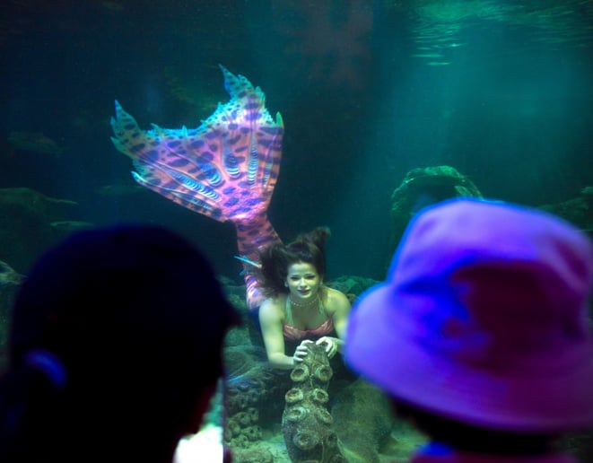 Gallery photo 8 of Mermaid Alexis