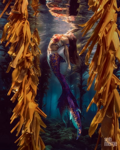 Gallery photo 1 of Mermaid Alexis