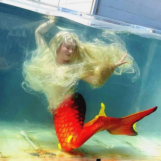 Gallery photo 10 of Mermaid Aria