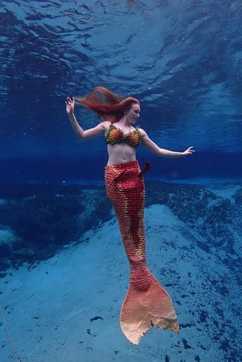 Gallery photo 1 of Mermaid Ariadne