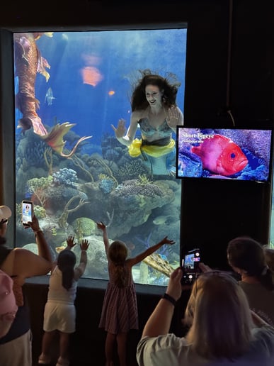 Gallery photo 7 of Mermaid Ariadne