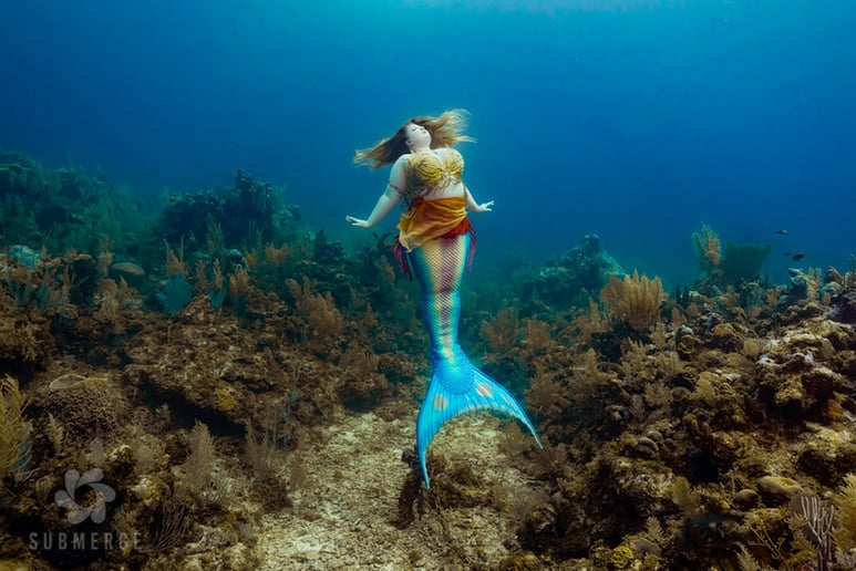 Gallery photo 8 of Mermaid Cetea