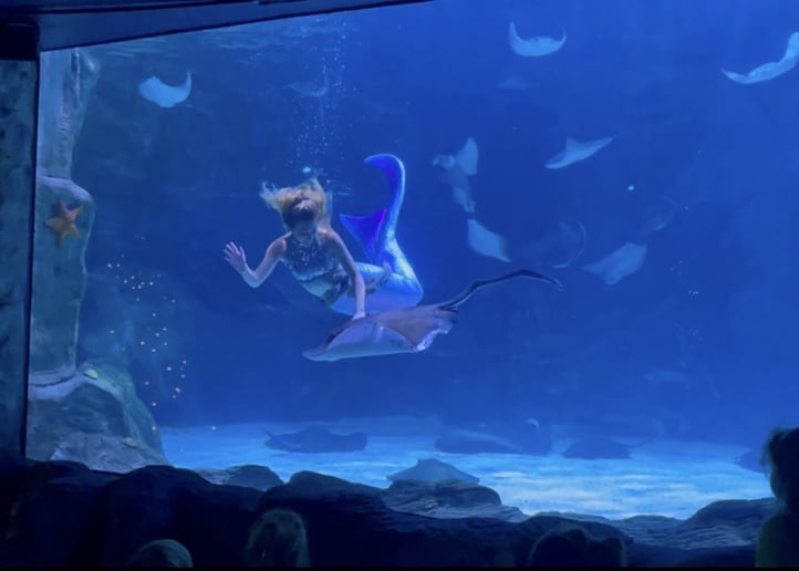 Gallery photo 2 of Mermaid Finley