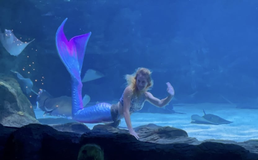 Gallery photo 10 of Mermaid Finley