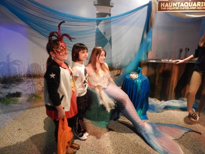 Gallery photo 4 of Mermaid Gem - Jewel of the Sea