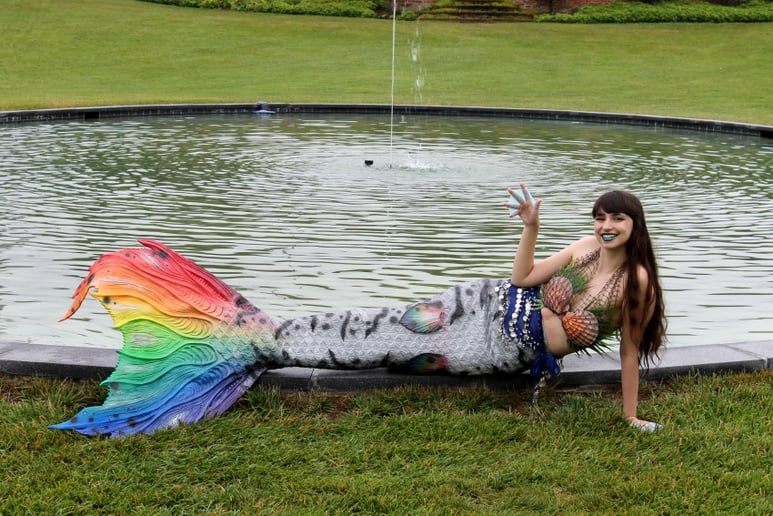 Gallery photo 2 of Mermaid Gipsy