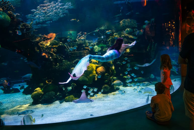 Gallery photo 2 of Mermaid Giselle, the "Enchanted Mermaid"
