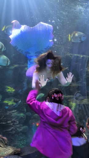 Gallery photo 4 of Mermaid Giselle, the "Enchanted Mermaid"