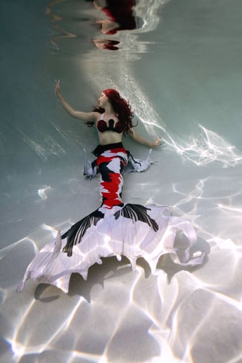 Gallery photo 2 of Mermaid Kshell