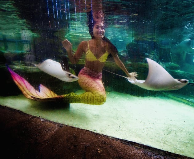 Gallery photo 1 of Mermaid Lenisa