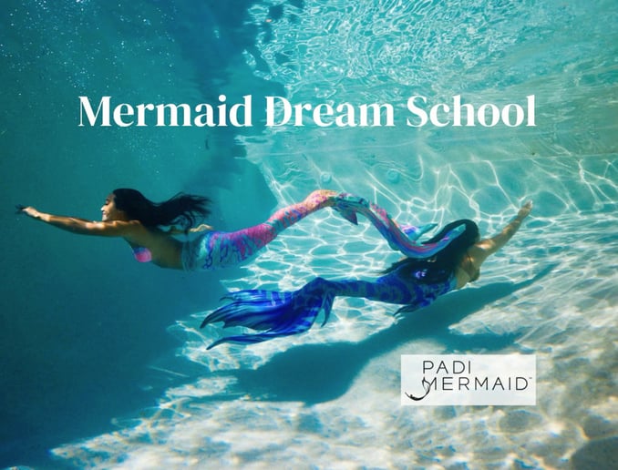 Gallery photo 14 of Mermaid Lenisa