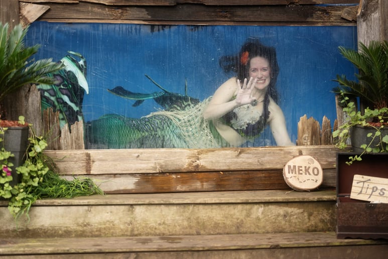 Gallery photo 8 of Mermaid Meko (& Friends!)