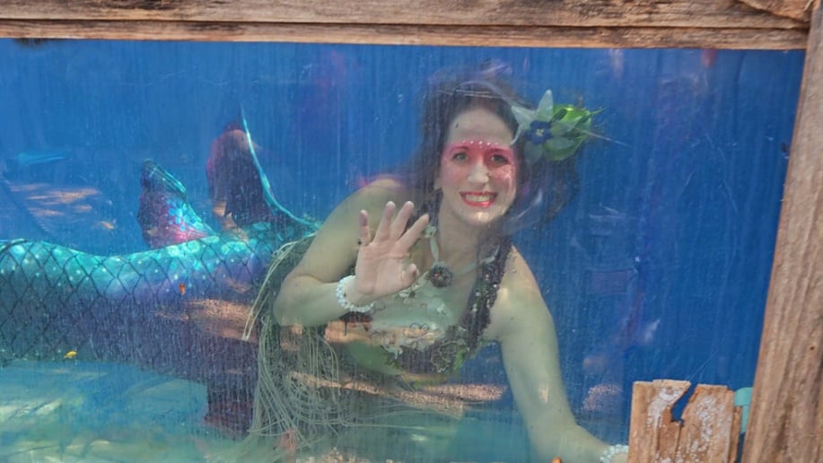 Gallery photo 9 of Mermaid Meko (& Friends!)