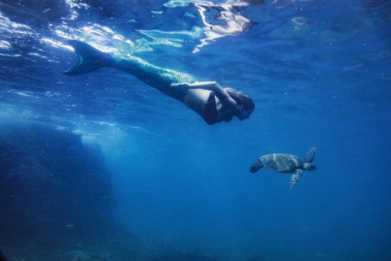 Gallery photo 9 of Mermaid Memories Santa Cruz
