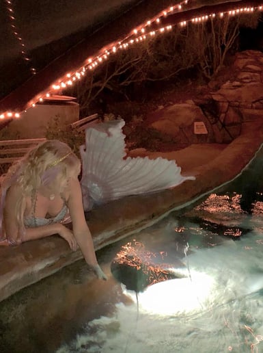 Gallery photo 10 of Mermaid Odette
