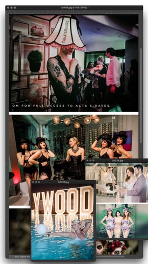 Gallery photo 44 of Elite Entertainment Global