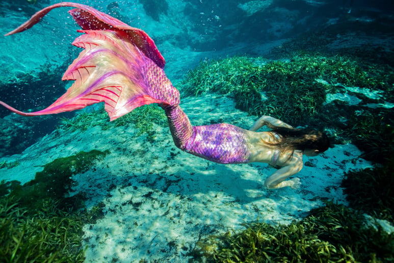 Gallery photo 3 of Mermaid Serena Bass