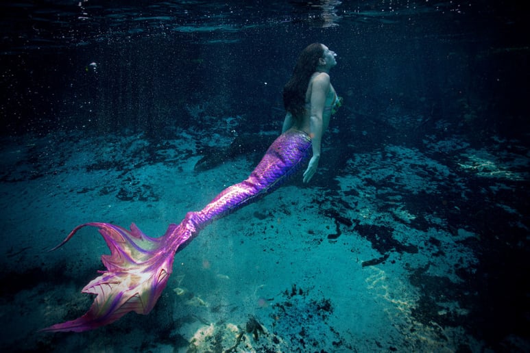 Gallery photo 10 of Mermaid Serena Bass
