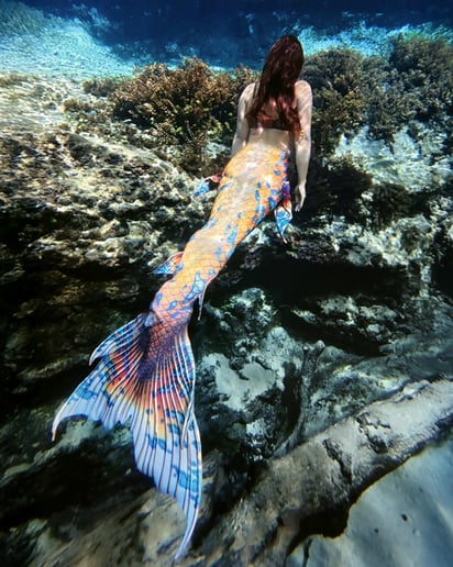 Gallery photo 9 of Mermaid Serena Bass