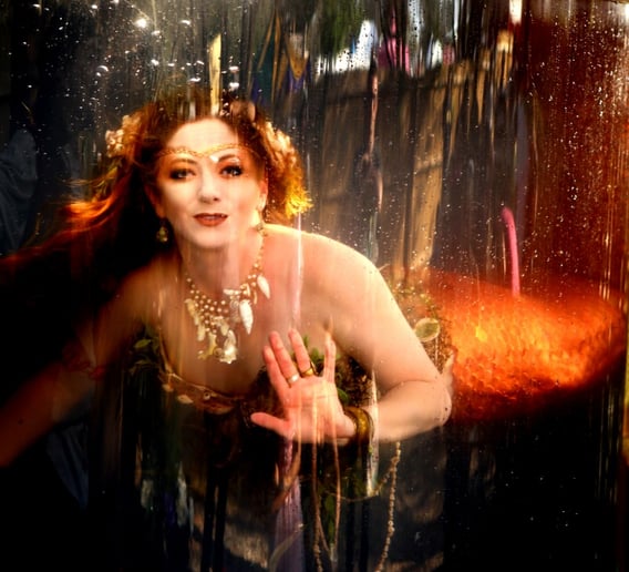 Gallery photo 1 of Mermaid Star