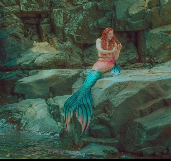 Gallery photo 4 of Citrus Mermaid Academy