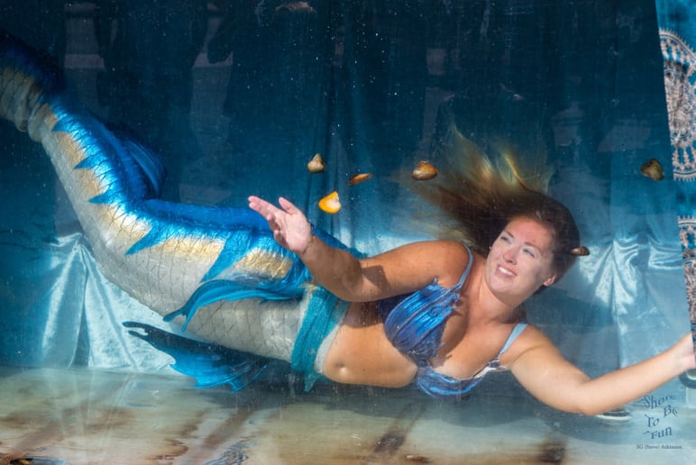 Gallery photo 6 of Mermaid Tasha LLC