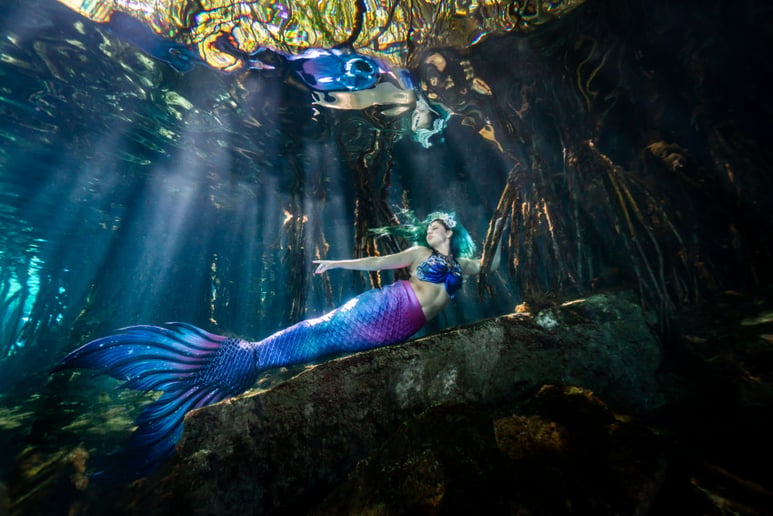 Gallery photo 9 of Mermaid Venilia