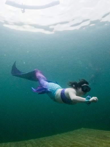 Gallery photo 6 of Mermaid Zippy