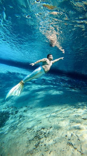Gallery photo 6 of Merman Cornelius