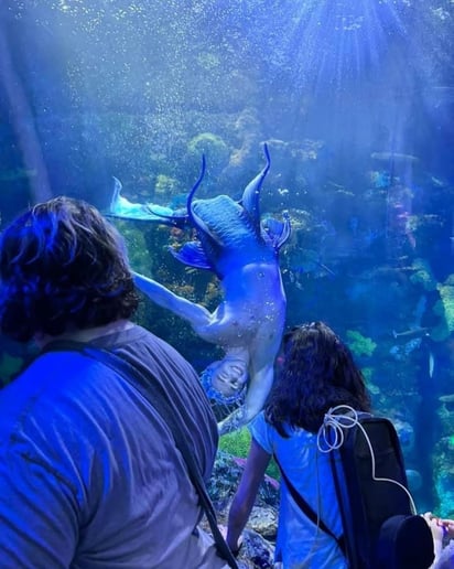 Gallery photo 5 of Merman Entertainer