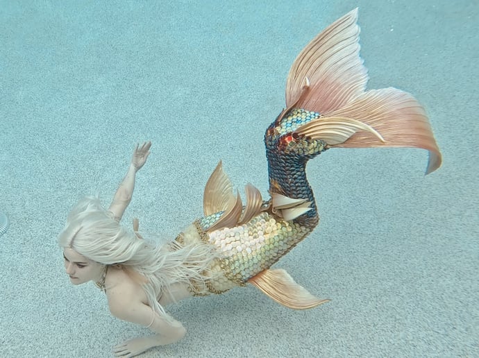 Gallery photo 4 of Mersquerade Mermaid Performance