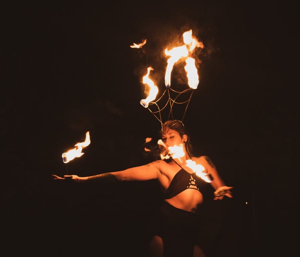 Gallery photo 8 of Serpentine Entertainment