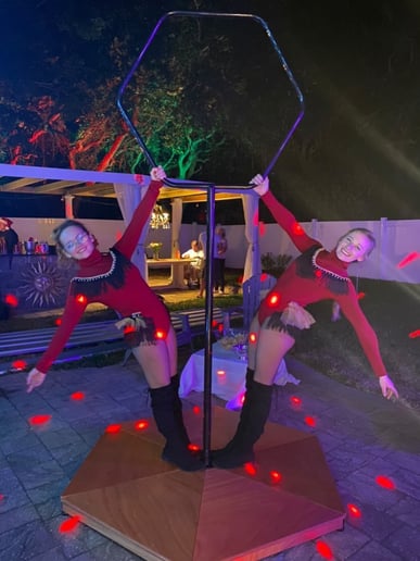 Gallery photo 7 of Serpentine Entertainment