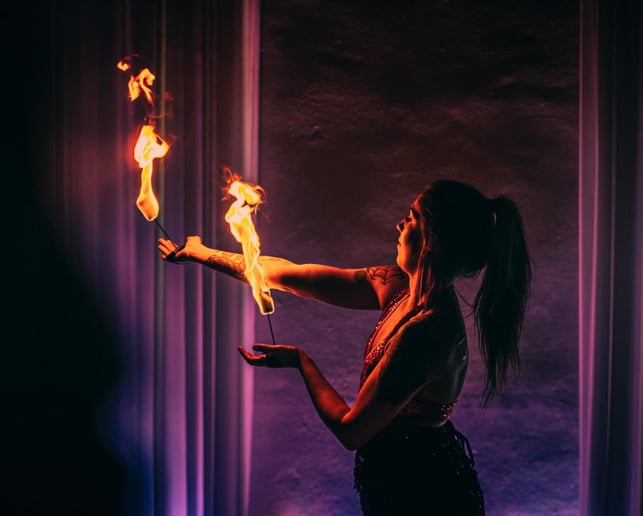Gallery photo 9 of Serpentine Entertainment
